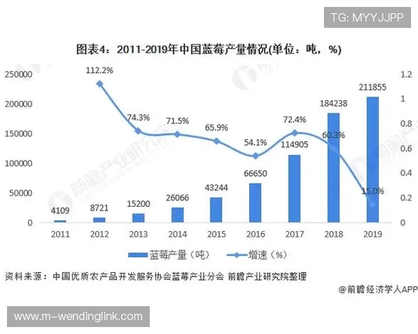 问鼎国际链接入口在游戏行业中的应用优势与未来发展趋势分析